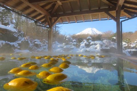2016.11.26の富士山