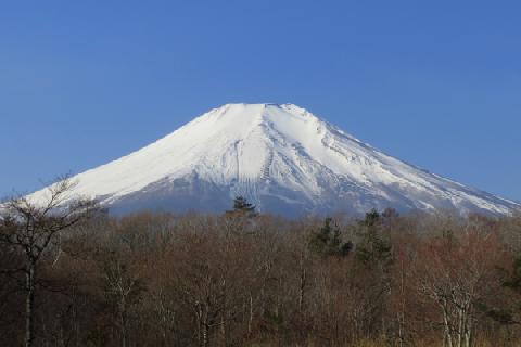 2019/02/23の富士山