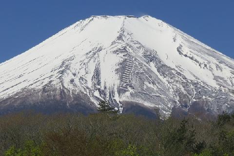 2019/05/08の富士山